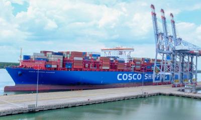 Cục Hàng hải yêu cầu công khai giá cước và phụ thu vận tải container bằng đường biển
