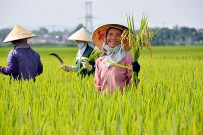 Xuất khẩu gạo năm 2023 dự báo đạt 6.5-7 triệu tấn 