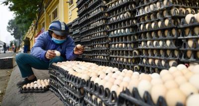 Người Việt dùng gần 19 tỷ quả trứng gia cầm trong năm qua