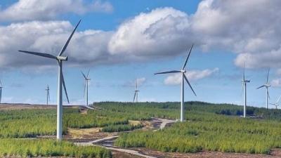 Thêm 170,6 MW điện gió được công nhận vận hành thương mại
