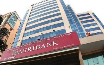 80 cơ sở nhà, đất làm chậm cổ phần hóa Agribank