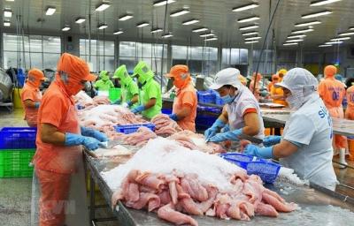 3 tháng đầu năm 2024, xuất khẩu cá tra sang thị trường UAE tăng 67% so với cùng kỳ