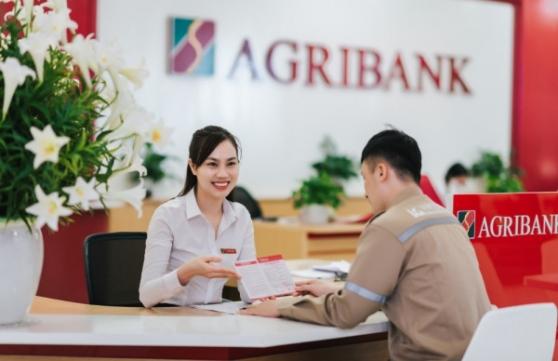 Agribank rao bán 4 lô đất tại Đà Nẵng, giá khởi điểm 9,3 tỷ đồng